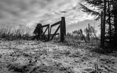 Stille